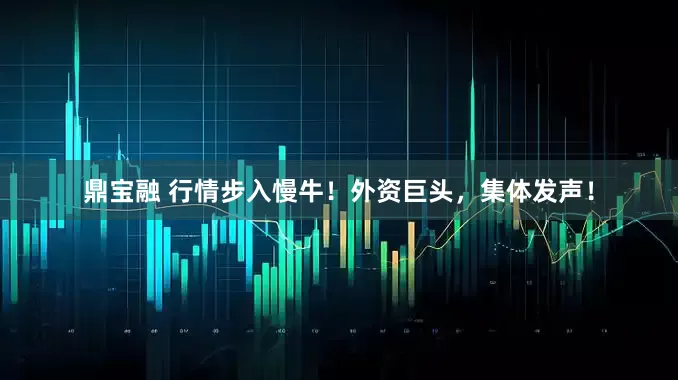 鼎宝融 行情步入慢牛！外资巨头，集体发声！
