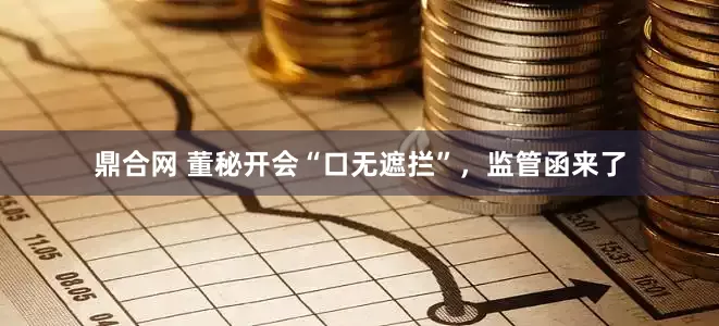 鼎合网 董秘开会“口无遮拦”，监管函来了