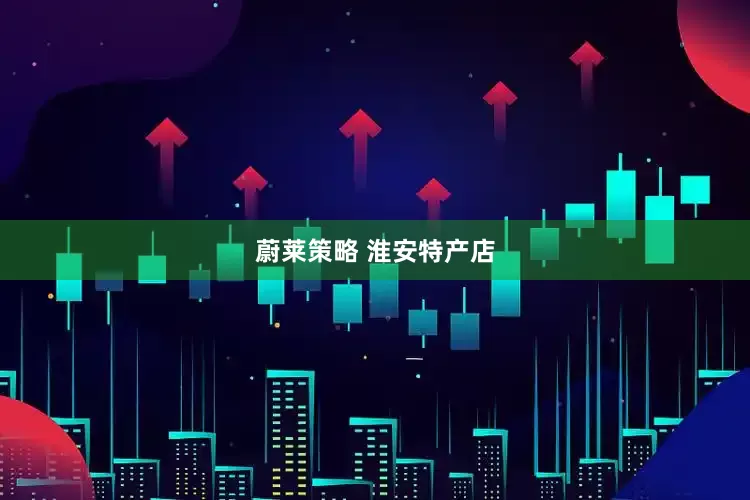 蔚莱策略 淮安特产店