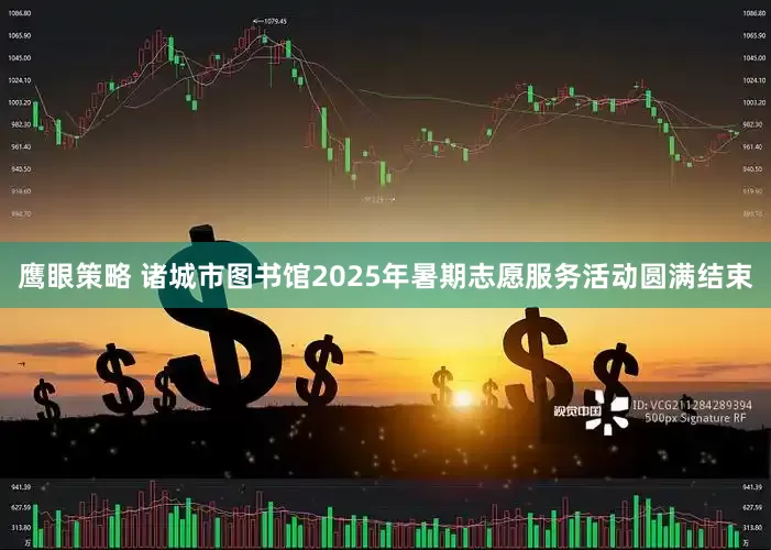 鹰眼策略 诸城市图书馆2025年暑期志愿服务活动圆满结束
