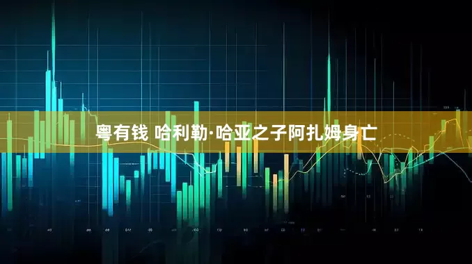 粤有钱 哈利勒·哈亚之子阿扎姆身亡